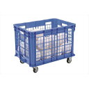 エバニュー EKE258 整理カゴプラ-3 4934048059835 EVERNEW 学校体育器具