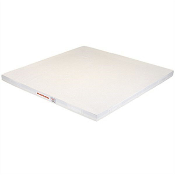 エバニュー EKM511 抗菌柔道用投込みマット200×200×10 4934048447656 EVERNEW 学校体育器具【 (到着ま..