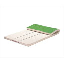 エバニュー EKM410 指導ライン入りマット滑止120×300×5 4934048547042 EVERNEW 学校体育器具【 (到着までの最短納期はメーカー...