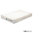 エバニュー EGD123 屋内エバーマット二折200×300×30 4934048440640 EVERNEW 学校体育器具【 (到着までの最短納期はメーカーに...