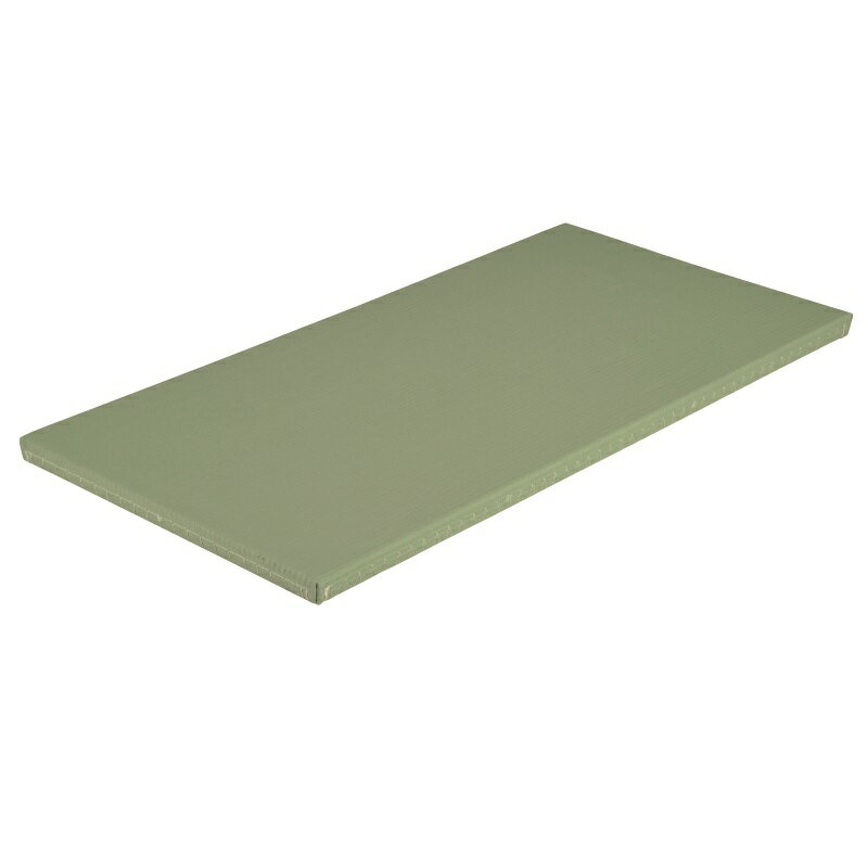 エバニュー EKR036-100 柔道畳ソフト（1×2） 【レッド色】 4934048614270 EVERNEW 学校体育器具【 (到..