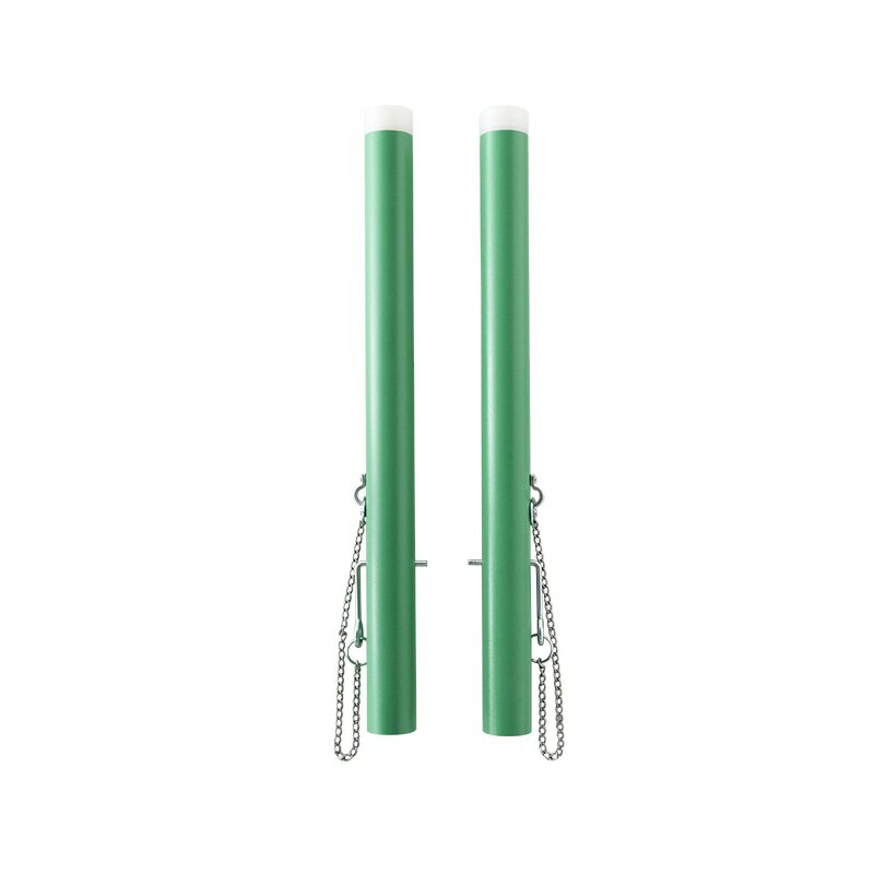 エバニュー EKD429 軽量多目的補助支柱 4934048635398 EVERNEW 学校体育器具