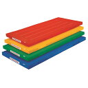 エバニュー EKM416-100 屋内外兼用体操マット120×300×5 【赤色】 4934048858407 EVERNEW 学校体育器具【 (到着までの最短...