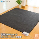 ゼンケン 電気ホットカーペット 2畳用 2畳タイプ 本体のみ ZCB-20S 電磁波カット 省エネ 省電力 暖房器具 ホット カーペット カバーなし