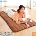 ゼンケン 一人用電熱マット タイマー付き ZMT-75CT 電気毛布 敷毛布 ホットカーペット 電磁波99%カット 季節家電 暖房器具 省エネ 温熱