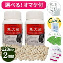 【選べるオマケ付き】 集大成 発酵ルベルス 120粒×2箱セット ルンブルクス粉末 正規品 大豆発酵エキス アカミミズ 赤ミミズ しゅうたいせい 健康食品 サプリ サプリメント
