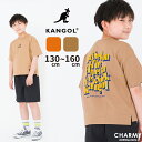 KANGOL obNSvgTVc JS[ q WjA LbY qǂ j̎q ̎q KIDS  TVc gbvX Jbg\[ Vv AJW JWA X|[c AEghA Lv outdoor   130 140 150 160