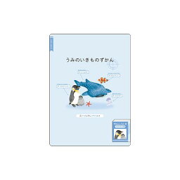 ポイント UP 期間限定 ずかん 下敷き うみのいきもの 211585 カミオジャパン 業者様歓迎