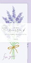 レターセット 今日のお手紙 ラベンダーの花束 LIK48 古川紙工 FURUKAWASHIKO ポイント UP 期間限定 業者様歓迎