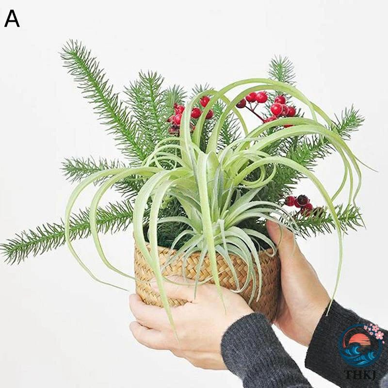 　　　 ◆◇◆人気の秘密◆◇◆ 【本物そっくりのデザイン】この人工樹木のデザインはリアルで、とても鬱蒼としています。この観葉植物は柔らかい緑と和深の緑を混ぜて、本物の植物をまねました。色が鮮やかで、細工が丁寧で、触れる時に真実な感じを与えます。 【リアル】実際の植物の生育特性をシミュレートし、植物の実際の成長特性や鮮やかな葉の色に応じた、リアルな手触りを再現しています。 場所によって本物と見分けがつかないほど密集した枝葉が特徴で、近くで見ると細部までリアルに再現されています。 植物そのものの柔らかな緑色を使い、フレッシュでナチュラルな雰囲気に仕上げました。お部屋やお店に、太陽の光が降り注ぐ鮮やかでナチュラルな雰囲気をお届けします。 【枯れない花、世話不要】シルクフラワーなので、枯れることなく永遠の花。世話、水なども不要、害虫がつかない、土を使わないので部屋が汚れない、などなど。美しいまま長期間飾ることができます。 【柔らかな材質】材質はプラスチックや生地で、柔らかく軽量な生地で作られており、非毒性で環境にやさしく、枯れない造花で、手間のかかず、耐久性があります。再利用も可能。 【ファッションデコレーション】私たちの造花は、あらゆる目的や行事に適しています。毎日の装飾だけでなく、家族でのディナー、結婚披露宴、誕生日パーティー、その他さまざまな祝日や行事のために。ダイニングテーブルを飾り、心地よい雰囲気を演出しましょう。 　　　◆◇◆注意事項◆◇◆ご覧のモニターの環境、撮影環境により実物と色味が異なって見える場合がございます。湿った状態で他のものと擦り合わせると色が移る恐れがあります。濃色品の洗濯時は、白色、淡色と分けて洗ってください。説明 ??????●いらっしゃいませ〜●?????? ???「商品紹介」??? ?造花ですが、生け花ような雰囲気、自然な外観を持っている。 手作りで鮮やかな色合いのリアルタッチ。 ?優しい色合いのものを集めました。インテリアの一部としてご利用いただけます。花のある暮らしをお楽しみください。 ?花粉がないので花粉が嫌いな方でも花の美しさが楽しめます！ ?造花はメンテナンスが不要で、生け花やお手入れが簡単で、水も不要で、自然の影響を受けません。耐久性と長持ち！ ?リビングや玄関に日常のインテリアとして飾ったり、イベントごとやパーティー時の装飾として使用することが出来ます！飾るだけでお部屋の雰囲気が明るくお洒落になるアイテムです！ ?子供たちが怪我をする恐れがありますので注意してください。 ?用途以外の使用を控え、直射日光、熱、湿気を避けてください。 ?重たいものを乗せたり、過度な衝撃を与えないでください。 ?間近で見ても本物そっくりのクオリティ。 ?水も土もいらない。手間のかからない人工イミテーション植物 ???「ご注意」??? ?実際の製品の色は、色収差や撮影光の状態をモニターするためにここに表示されている画像とは多少異なる場合があります。 ?海外からの輸入品や商品の配送中の外箱の破損がまれに見受けられる場合がございますので予めご了承ください。 「検査キーワード」 フェイクフラワー 造花 フェイク花 生花みたい インテリア はな 花 花束 インテリア ブーケ はな 花,フラワー 花 ブーケ はな インテリア 花束 枯れない花 本物そっくり プリザーブドフラワー 永遠の花 アートフラワー アーティシャルフラワー 装飾 人工観葉植物 観葉植物 シャビーシック 可憐 人工観葉植物 装飾り ビングルーム ダイニングテーブル 造花 花束 フラワー かびん 花瓶 光触媒(空気清浄) レッド オレンジ イエロー グリーン 青 ブルー パープル ブラック ホワイト グレー 赤 橘色 黄色 緑 藍 紫色 ベージュ シルバー 金色 黒 白 ギフト プレゼント 贈り物 女性 見舞い お祝い ワイルド ガーランド ナチュラル ネイティブ ロマンティック ロマンチック 可憐 フローラル シャビーシック ハワイアン トロピカル マルチカラー 秋の色 ソリッド 森ガール 雰囲気作 ドライフラワー 1束 4束20本 3本立ち 手作り 光る花 電池式 LED 牡丹 花瓶 たんぽぽ バラ 薔薇 カスミ草 花瓶 花びん ガラスベース