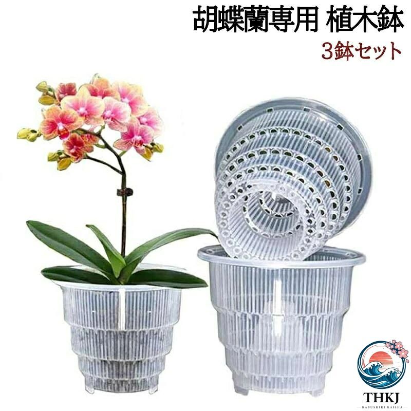 胡蝶蘭専用 植木鉢 3 鉢セット 胡蝶蘭の植え替え 鉢 受皿付き 多穴型 通気性抜群 根腐れ防止 直径 10 12 15cm 排水穴付き プラスチック おしゃれ 蘭の鉢 観葉植物の鉢 透明 クリア 根が見える鉢 多肉植物 洋蘭 胡蝶蘭