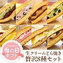 母の日 プレゼント ギフト 母の日ギフト 母の日プレゼント 2024 実用的 スイーツ 食べ物 お菓子 グルメ 送料無料 贈り物 パティスリー茶匠庵 生クリームどら焼き8種セット 冷凍便 どら焼き どらやき 内祝い 快気祝い 引出物 引き菓子