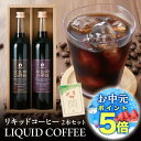 P【期間限定P5倍!】 お中元 御中元 夏ギフト プレゼント 2025 実用的 リキッドコーヒーギフト 2本セット エチオピアイルガチェフェ ブラジルショコラ 500ml アイスコーヒー 無添加 無着色 珈琲 コーヒーセット 無糖 送料無料 手土産