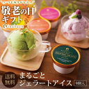 敬老の日 敬老 敬老の日プレゼント 孫 ギフト プレゼント 実用的 送料無料 手土産 お礼 お菓子 御菓子 スイーツ 食べ物 フルーツ アイス まるごとプレミアムジェラートアイス Bセット 8個入り 送料無料 内祝い