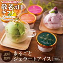 \最短発送受付中!/ 敬老の日 敬老 敬老の日プレゼント 孫 ギフト 送料無料 手土産 お礼 お菓子 御菓子 スイーツ 食べ物 フルーツ アイス まるごとプレミアムジェラートアイス Bセット 8個入り 送料無料 内祝い