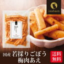 \5/1限定★P10倍/漬物 国産若採りごぼう 梅肉あえ 120g メール便送料無料 漬け物 国産 贈り物 プレゼント お礼 贈答 内祝い 母 引越し祝い お祝...