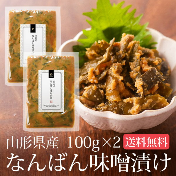 南蛮みそ漬け 100g 2袋セット メール