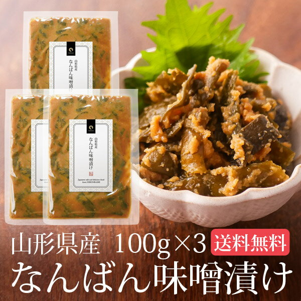 南蛮みそ漬け 100g 3袋セット メール便送料無料 南蛮味噌漬け 青とうがらし 青唐辛子 牛たん  ...