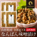 南蛮みそ漬け 100g 4袋セット メール便送料無料 南蛮味噌漬け 青とうがらし 青唐辛子 牛たん 牛タン 仙台牛たん なんばんみそ漬け 丸山食品 惣菜 お惣菜...