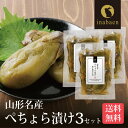 漬物 ぺちょら漬け 100g 3袋セット メール便送料無料 ぺそら漬け 漬け物 国産 お漬物 ご飯のおとも ごはんのおとも ご飯のお供 お礼 贈答 内祝い つけもの 弁当 おくりもの 贈物 プチギフト お土産 みやげ 茶匠庵 惣菜 お惣菜 時短 おかず 一人暮らし 食品 ポイント消化