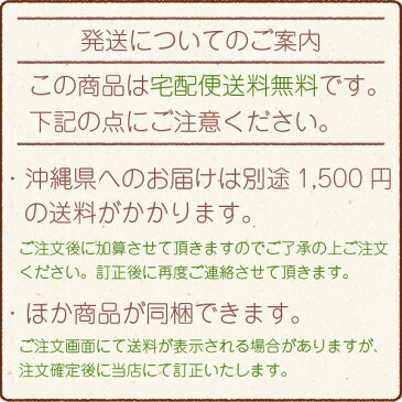 【エントリーでポイント5倍】【訳あり】＜つぶれ梅900g＞＜450g×2パック＞梅干し訳あり 紀州南高梅【送料無料】 （潰れ 高級 うめぼし 内祝い つぶれ梅干し 食品 ご飯のお供 おにぎり ワケあり ご飯のおとも わけあり お土産 訳あり品 手土産 和歌山）