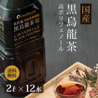 黒烏龍茶 茶匠庵 プレミアム国産黒烏龍茶 ペットボトル 2リットル 2ケース 2リットル×12本 送料無料 国産茶葉100% 国産 ウーロン茶 高ポリフェノール 2L 2000ml 業務用 お得用 黒ウーロン茶 コロナ 応援 おうち時間