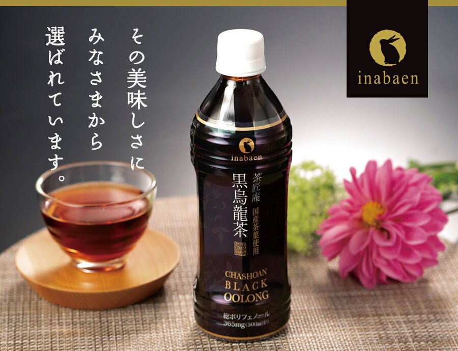 黒烏龍茶 茶匠庵 プレミアム国産黒烏龍茶 ペットボトル 1ケース 500ml 24本 送料無料 国産茶葉100% 国産 ウーロン茶 高ポリフェノール ギフト プレゼント ウーロン茶 お礼 茶匠庵 黒ウーロン茶 ポイント消化