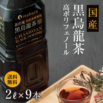 【着後レビューで200円クーポンGET】康師傅茉莉蜜茶 【ケース販売】 カンシーフー ジャスミンティー 500mlx15本入り