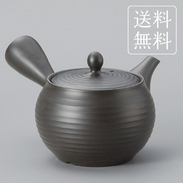 常滑焼急須 送料無料 盛正線段急須 YI ティーポット おしゃれ きゅうす 茶器 お茶 ポット 常滑焼 ギフト プレゼント お礼 贈答 内祝い 結婚祝い 急須 茶匠庵 ポイント消化のサムネイル
