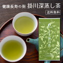 \6/1限定★P10倍/深蒸し茶 静岡産上級茶 掛川茶 100g メール便送料無料 お茶 日本茶 緑茶 送料無料 静岡茶 深むし茶 ギフト 深蒸し煎茶 静岡 掛川 深蒸し 牧之原 荒茶 深蒸茶 ポイント消化
