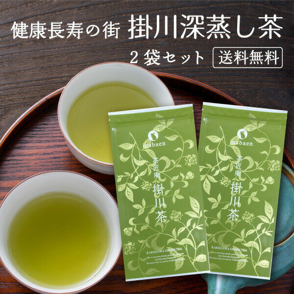 深蒸し茶 静岡産上級茶 掛川茶 100g 2袋セット メール便送料無料 お茶 日本茶 緑茶 送料無料 静岡茶 深..