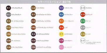 イリヤ カラーコートデコレ 160g