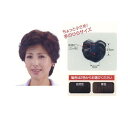 【送料無料】 2個セット 人毛100%・手植え モアヘアピース