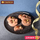 【送料無料】 お中元 夏 サマー ギフト 猫 ねこ チョコサブレ サブレ 高級 お菓子 かわいいお菓子 可愛い チョコレート ミルク 個包装 プレゼント 高級 ...