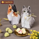 敬老の日 ハロウィン 猫パッケージ スイーツ お菓子 通販 猫 チョコがけいちご まるごと苺 いちご チョコ ホワイトチョコ 抹茶 コーティング チョコいちご ストロベリー 可愛いスイーツ 可愛いお菓子 ネコ 猫好き プレゼント 手土産 お礼 苺トリュフ 猫スイーツ