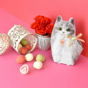 猫スイーツ キトン・苺の牛乳ショコラ 猫 チョコがけいちご まるごと苺 いちご チョコ ホワイトチョコ 抹茶 コーティング チョコいちご ストロベリー 可愛いス...