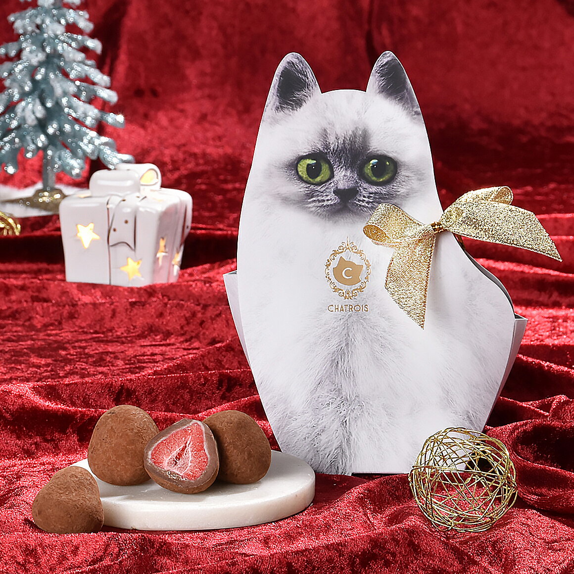 期間限定 キトン・苺の牛乳ショコラ カカオ クリスマス お歳暮 CHATROIS おでかけ子猫バック ねこ チョコいちご フルーツチョコレート チョコレート 猫のお菓子 高級菓子 おしゃれ菓子 お取り寄せスイーツ 可愛いスイーツ かわいい お菓子 猫好き 誕生日プレゼント ギフト