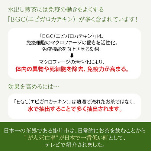 【開始4時間限定ポイント5倍】 水出し 緑茶 ティーバッグ (5g×16包入り) ナイロン テトラ型 糸なし ポット用 【掛川茶 煎茶 高級緑茶 深蒸し茶 茶葉 ティーパック カテキン 】 3