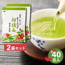 【2023年度産】初摘み ティーバッグ (3g×20包×2パック) 糸付き ナイロン 緑茶 ティーパック 送料無料 ／ 静岡県産 深…