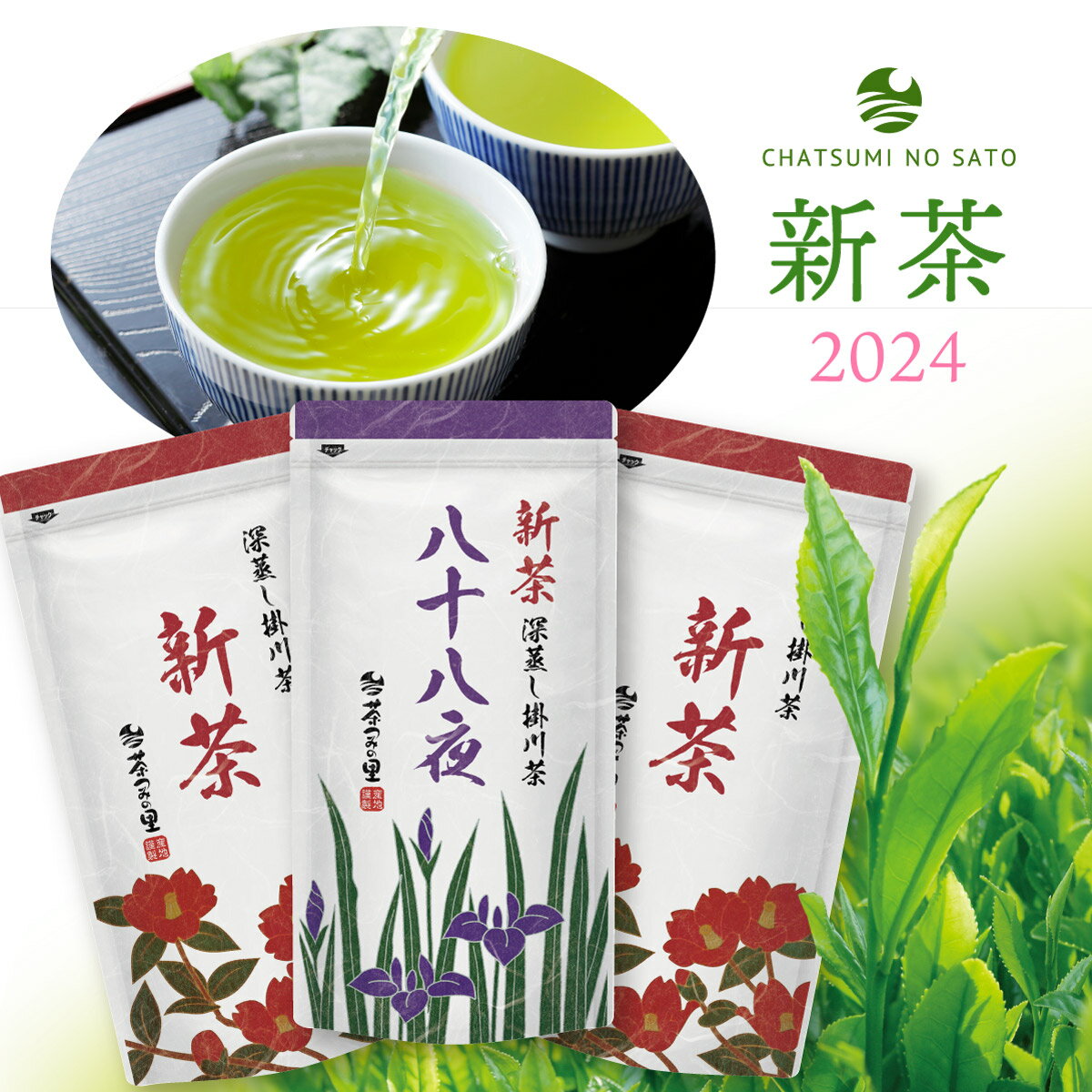 【2024年産 新茶】 摘みたて新茶いろどりセット (80g袋入×3本セット)／ 八十八夜新茶 送料無料 掛川茶 煎茶 緑茶 静…