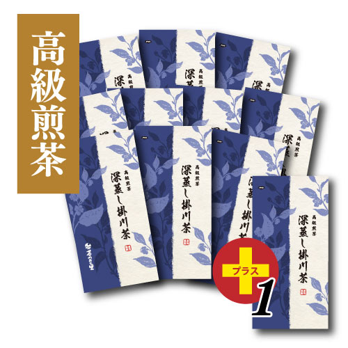 高級煎茶 深蒸し掛川茶 10+1本セット (100g袋入×1