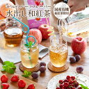 \5種のフルーツフレーバー/ 水出しでおいしい 和紅茶 ティーバッグ 3.8g×20包入 静岡県産 有機和紅茶使用 / りんご いちご さくらんぼ 白桃 巨峰 フルーツティー オーガニック 国産 紅茶 ティーパック 送料無料