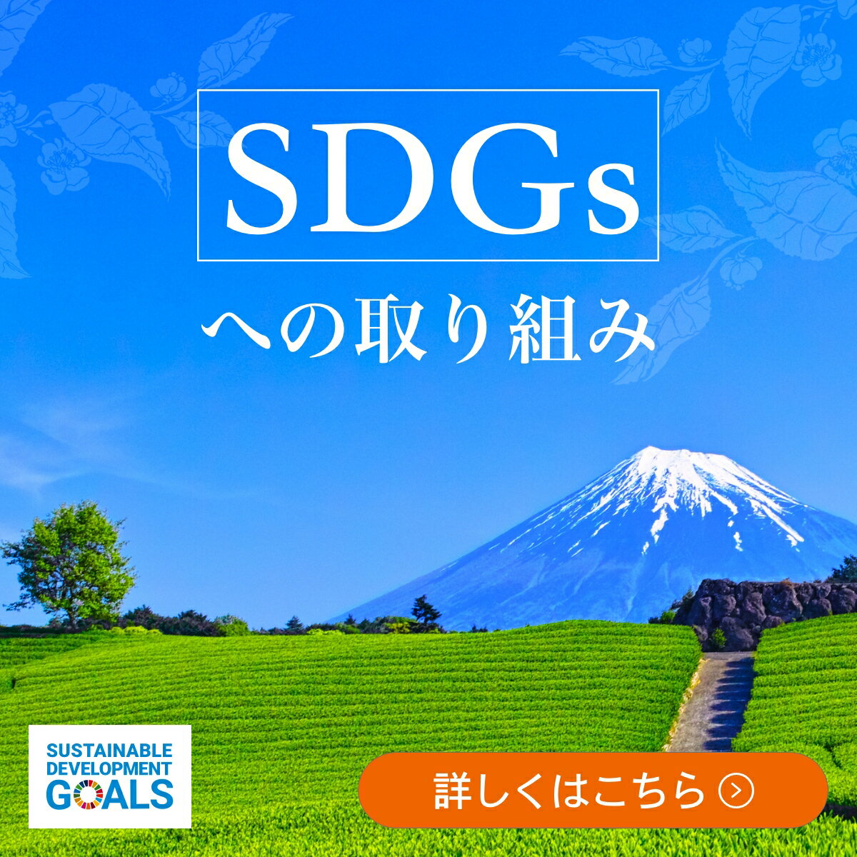 SDGs