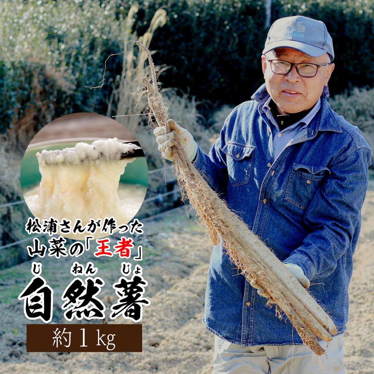 【新発売】 静岡県産 自然薯 約1kg (2～3本入り) 送料無料 健康食 じねんじょ お取り寄せ プレゼント ギフト 御歳暮 お歳暮 おすすめ 掛川 倉真 山芋 とろろ 掛川いも汁のサムネイル