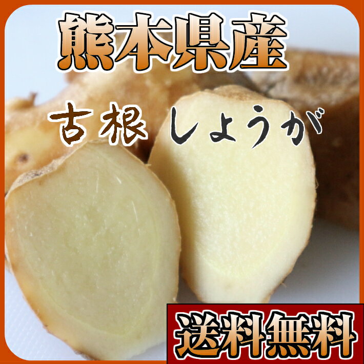 古根しょうが 熊本県産　無農薬　大ショウガ　親ショウガ 2kg 送料無料