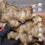 生姜 無農薬 無肥料 1kg 熊本県産 大生姜 送料無料 ジンジャー 野菜 農薬栽培期間中不使用
