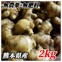 生姜 無農薬 無肥料 2kg 熊本県産 送