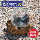 流木 ガラス ギフト 【 流木ガラス オブジェ 大 】ガラス 流木 オブジェ 流木 フラワー フラワーベース 金魚鉢 鉢 ガラス 流木 ガラス 流木 オブジェ ...