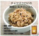 チャヤマクロビ　レトルトご飯　雑穀入り玄米ごはん160gX20個（単品購入より10％オフ）（マクロビ、ビーガン、プラントベース、添加物..