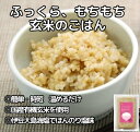 チャヤマクロビ 玄米ごはん プレーン レトルト 160g 1個